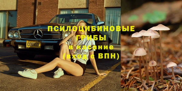 стаф Абинск