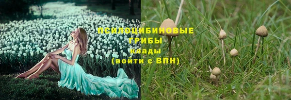 стаф Абинск