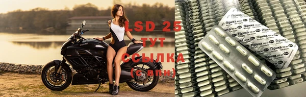 стаф Абинск