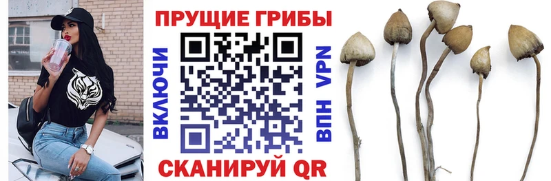Псилоцибиновые грибы прущие грибы  где купить наркотик  Юрюзань 